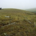 Alsask Fog, Alsask, Sask.