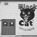 Black Cat, Tea, South Dakota