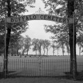 Buffalo Cemetery, Buffalo, North Dakota