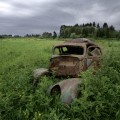 near Markerville, Alberta