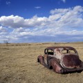 Spring Time, near Meeting Creek, Alberta