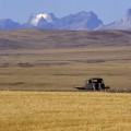 North Fork Truck, near Whiskey Gap, Alberta