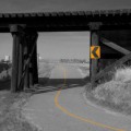 Bike Path, Calgary, Alta.