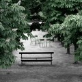 Tuileries, Paris