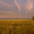 Sunrise Miller House
~
Which way do I turn?/  
Making haste in the morning twilight/ 
Circling, there is no beaten path/ 
To this story without a plaque/ 
The view is always to my back.