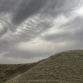 Old Hay Seed
~
Take this land/ 
No one has wanted/ 
Room enough to roam./ 
'Just imagine'/ 
He would wonder/ 
and cross the ridge alone.