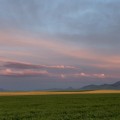 Les Trois Buttes
~
In afterglow of the Solstice/ 
The Hills of Sweet Grass stretch./ 
Intrusive invaders, an island range/ 
Untouched by the Laurentide ice./ 
Weather makers, vision shapers/ 
Sentinels to the spirit world./ 
Kaytosis