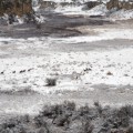 Ten Deer,  16x24in Moab Entrada Rag Print ~ Follow me Now! out of this valley. Distance the noise, and danger allays. Heads to the south, the ten deer align. Safety in numbers, Be not left behind.